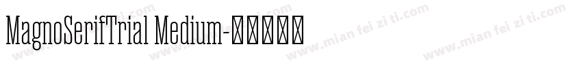 MagnoSerifTrial Medium字体转换